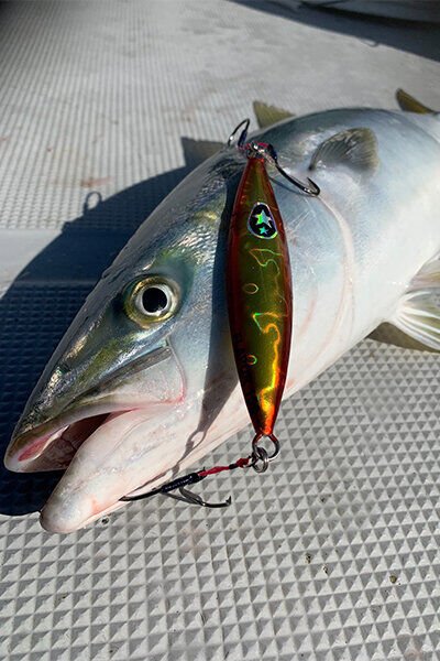 XESTA SLOW EMOTION FLAP QR 120G ALZL