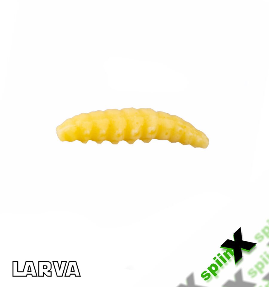 SPIINX LARVA 35MM 14P PEYNİR CHEESE 05