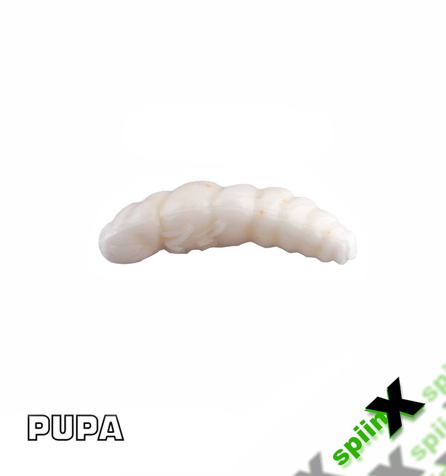 SPIINX PUPA 35MM 12P PEYNİR ALL GLOW 61