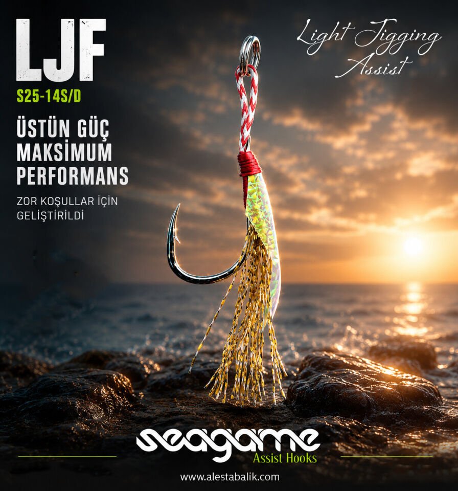 LIGHT JIGGING FLASH LJF SINGLE 4P #11