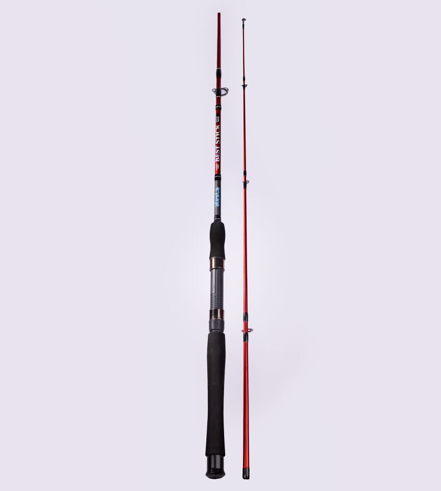 BEST STICK 165 CM 50-100G 2P