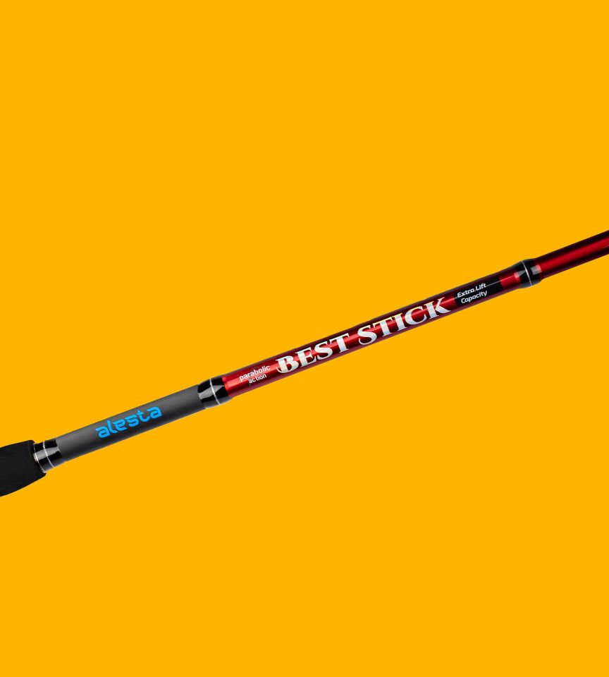 BEST STICK 180 CM 50-100G 2P
