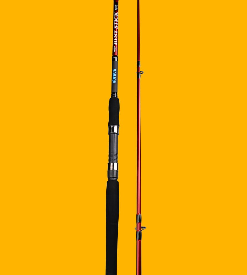 BEST STICK 210 CM 10-30G 2P