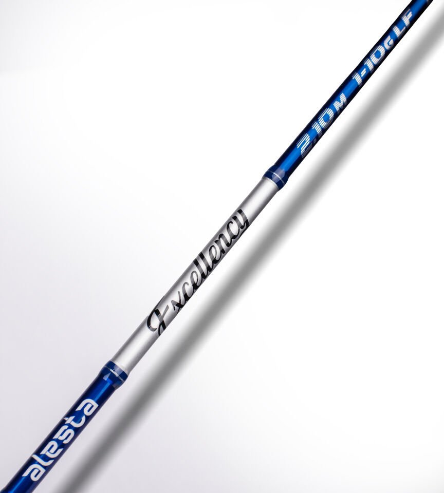 EXCELLENCY 210 CM 1-10G LF 2P KARBON