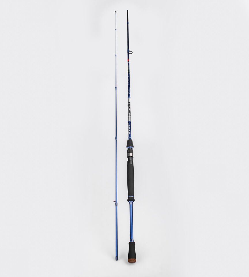 EXCELLENCY 240 CM 8-32G MF 2P KARBON