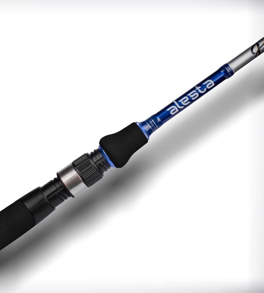 EXCELLENCY 240 CM 8-32G MF 2P KARBON